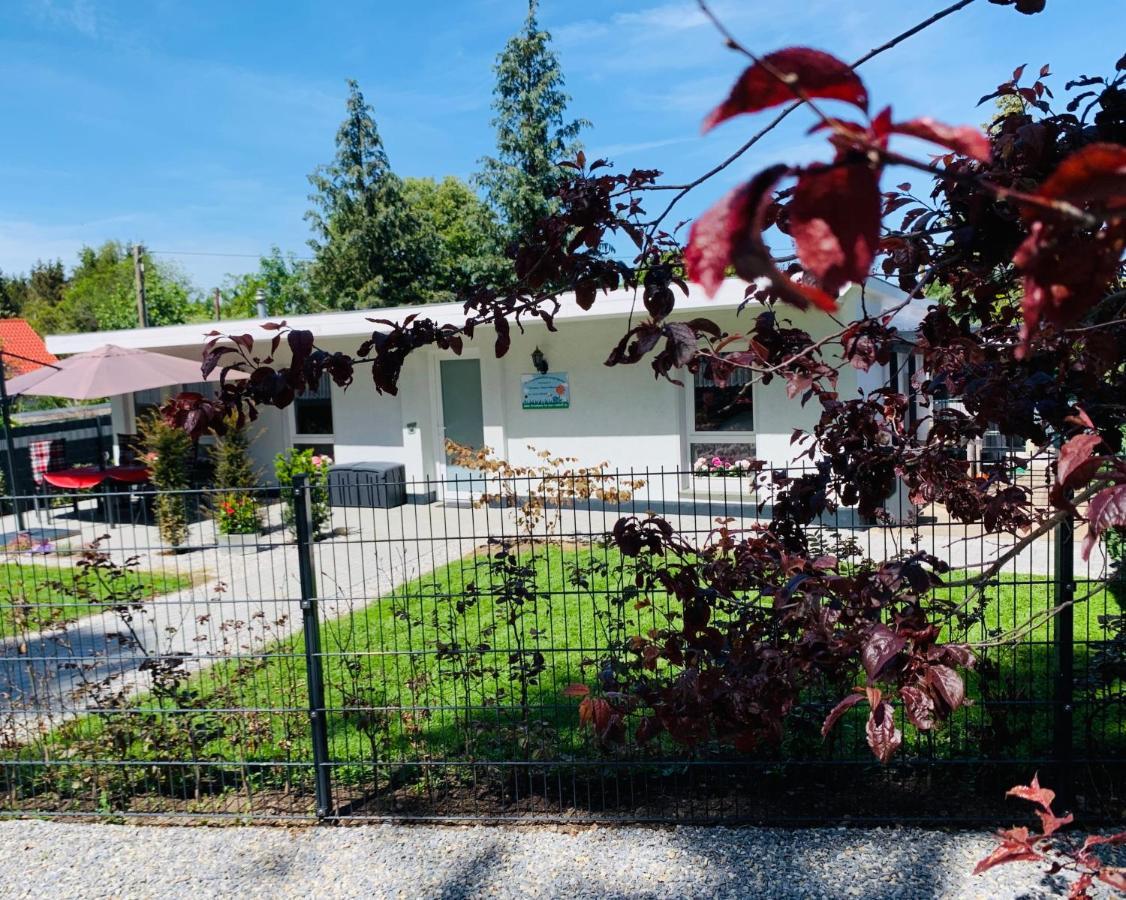 Ferienhaus 2 Im Harz Niehoff Darlingerode Exteriör bild