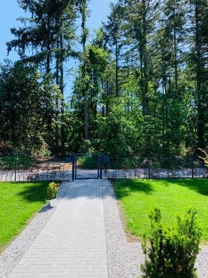 Ferienhaus 2 Im Harz Niehoff Darlingerode Exteriör bild